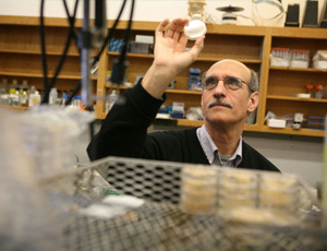 网页在线DDOS压力测试